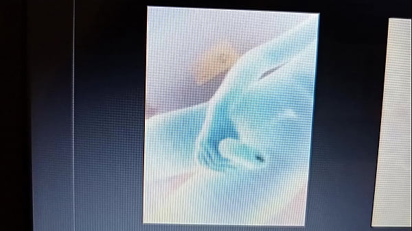 V&iacute_deo de verificaci&oacute_n