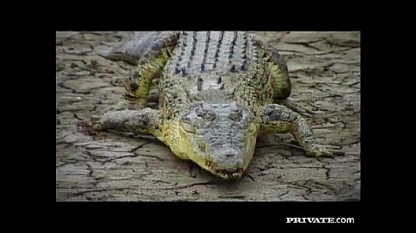 The desert just got even hotter