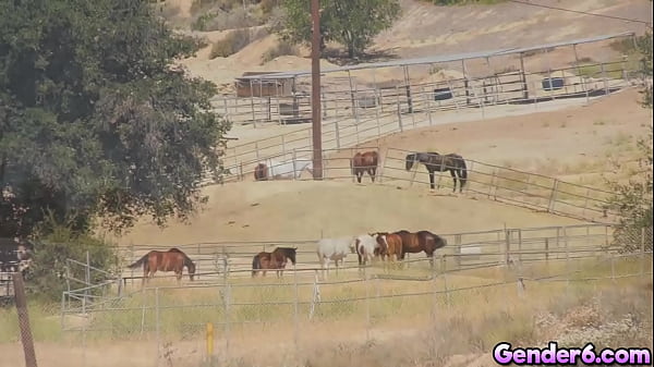 Transsexual hitchhiker Crystal M gets picked up by a driver and returns the favor by sucking his cock in the car and then going for an anal ride!