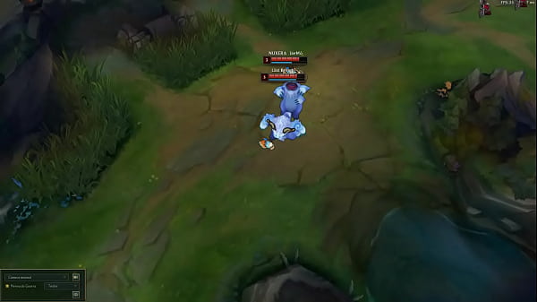 Nunu metendo no willump