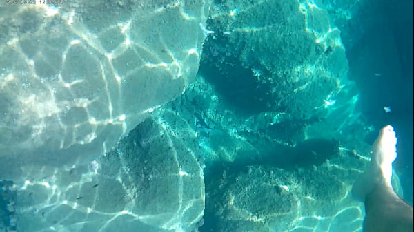 Fish eating cum under water in the sea 