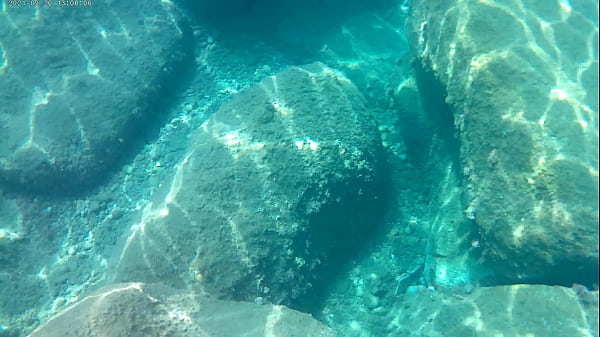 Fish eating cum under water in the sea 