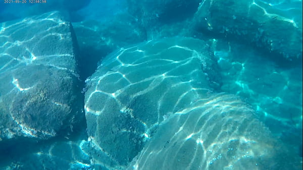 Fish eating cum under water in the sea 