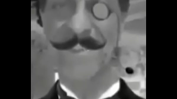 Sim dalva s&atilde;o cavalos 