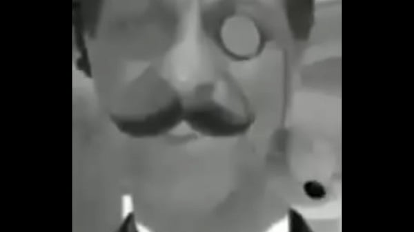 Sim dalva s&atilde;o cavalos 