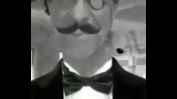 A dalva e uma senhora fina ela ama equinos