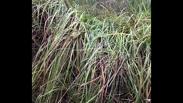 Play MP4 - Verification video