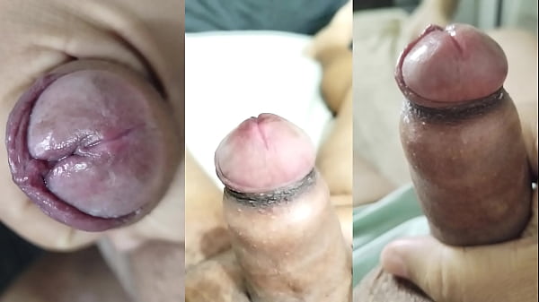 Play MP4 - A novinha consegue me deixar excitado com sua buceta deliciosa e seus lindos peitos