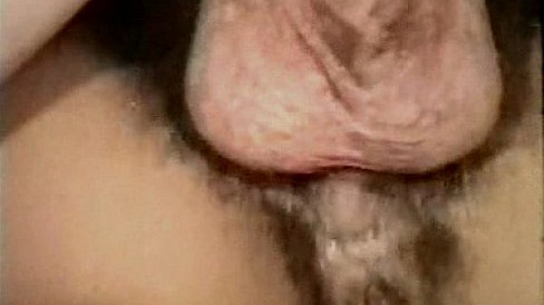 Vintage Interracial Erotica 1970s - Brown Sugar 