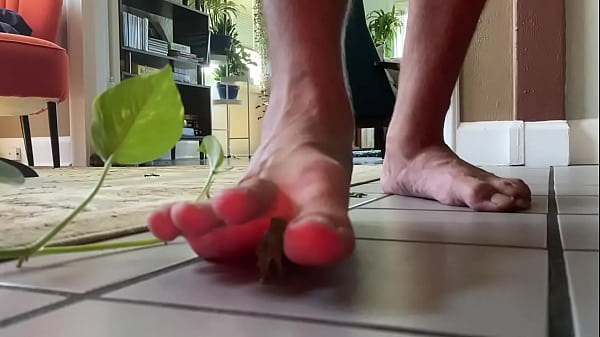 Giant with HugeFeet Crushes Little GreenMen