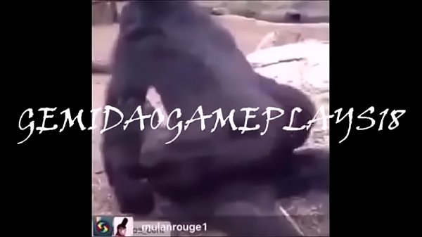 TRUCO_VALENDO_O TOBA VOU TER QUE DAR OCU OLHANO QUE_DEU