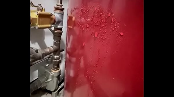 V&iacute;deo de verificaci&oacute;n 