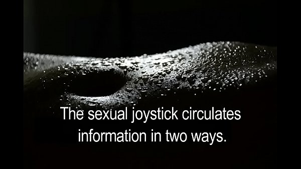 ogigia project the technology that will change porn