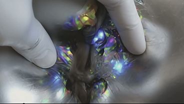 Male sex robot pounds female fembot in doggy & cowgirl  Prev1...3132333435363738394041424344454647...102Next SEXBOKEP adalah Website Bokep Indonesia Terbaru dan Terlengkap Gratis dimana Anda dapat menonton streaming video bokep dan download vidio bokep terbaru yang sedang viral dengan aplikasi bokep android, Aplikasi bokep free download simontok app terbaru 2026 for PC Mobile Online dan HP     Contact Us   DMCA   Disclamer   Privacy and Policy   Conditions of Use  &copy; 2026 SEXBOKEP All rights reserved