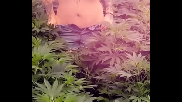 Yup&hellip; it&rsquo;s tuesday flipmoto1gmail1 #flippofarms#420