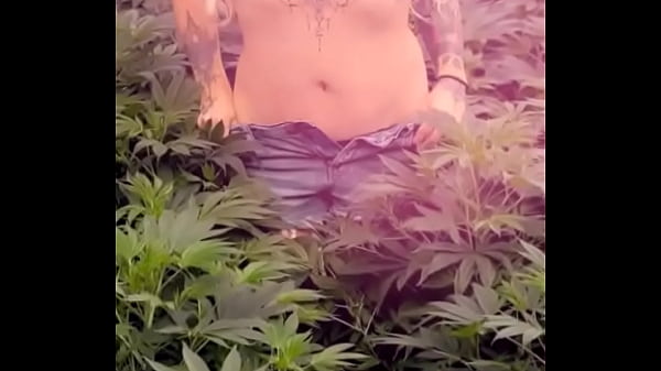 Yup&hellip; it&rsquo;s tuesday flipmoto1gmail1 #flippofarms#420 