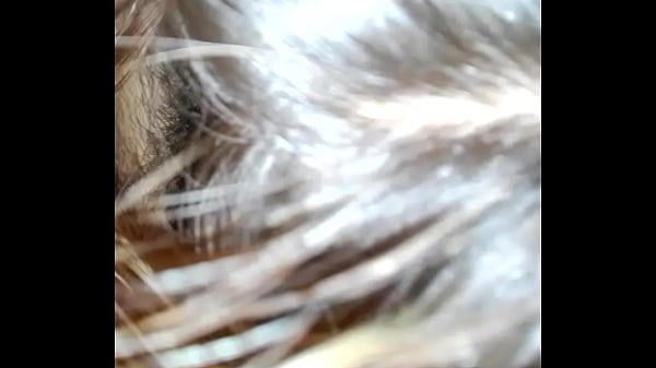 Con mí novia de Colima