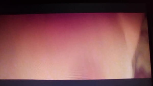 Working together to get a nut tigerbutterfly and flwersgroguap 