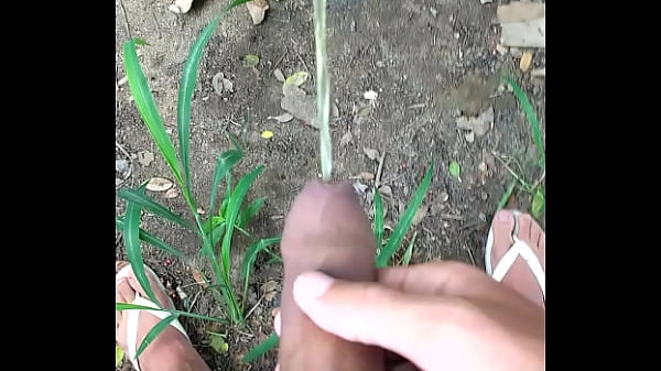 MIJADA GOSTOSA PELA MANH&Atilde; 