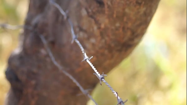 Nonton Xxx Porno Ducer thumbnail