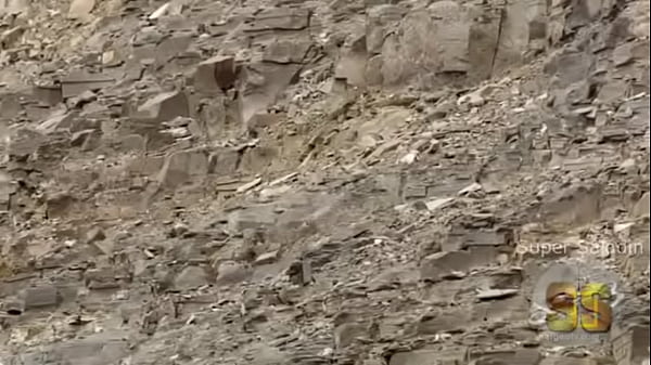 Video bokep part 52556665