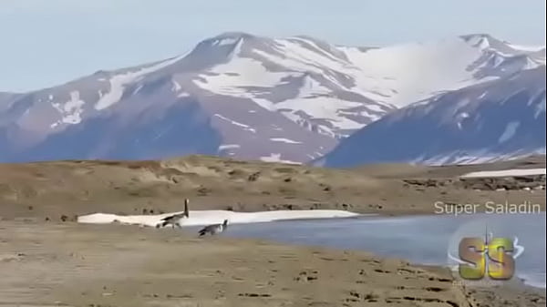 Video bokep part 52556665 