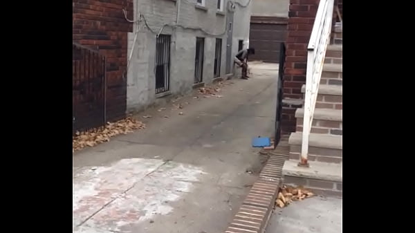 Code name wild hefner