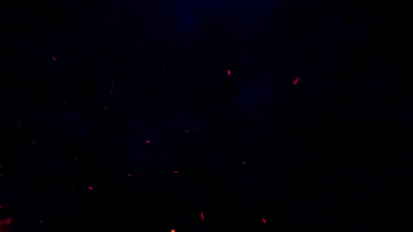 Nonton Young Sofia Smith Is Happy With Two Huge Black Cocks In Her Ass, Dap, Anal, Deep Balls thumbnail