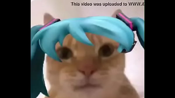 Nonton La Mikufiesta 100% Real No Fake thumbnail