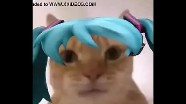 La mikufiesta 100% real no fake 