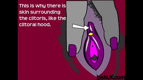 Bish guide to the clitoris