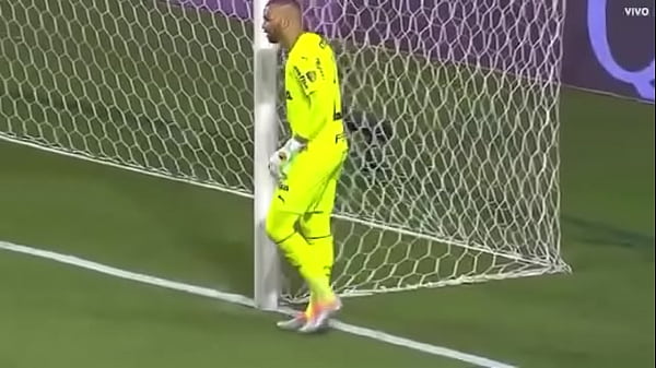 Nonton Porco Fudendo A Galinha thumbnail