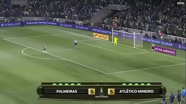 Porco fudendo a galinha 