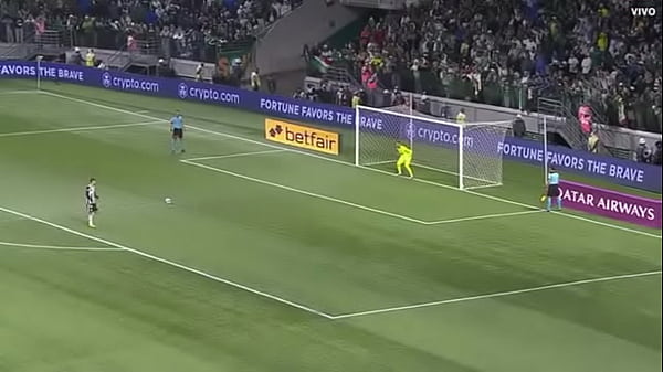 Porco fudendo a galinha 