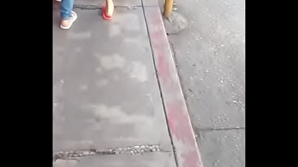 Mi pel&iacute;cula zap 0 