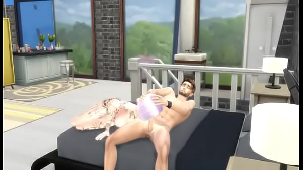 Sim 2