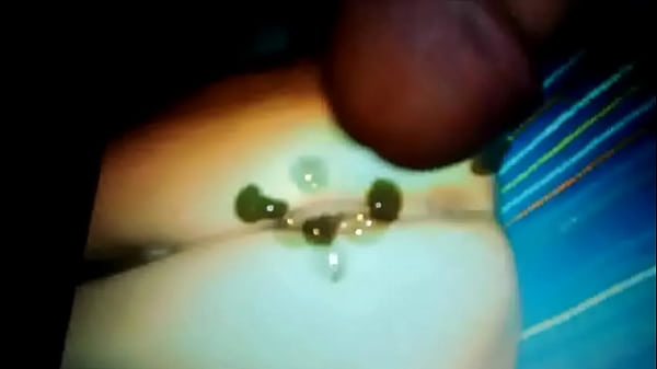 Tribute@Grande1977LovelycuntByDukeprinceitaly