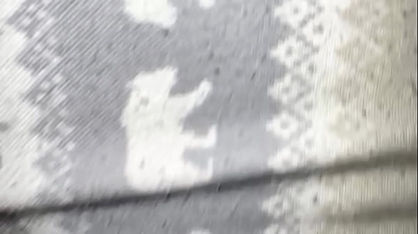 Una noche com&uacute;n y corriente 