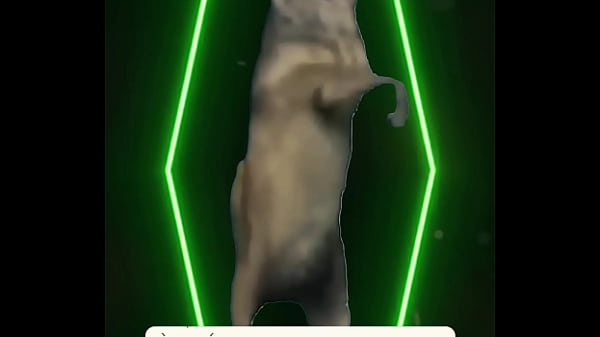 Chill lights cold drinks warm energy you don&rsquo;t get invited &mdash; you get chosen  Prev1...2627282930313233343536373839404142...112Next SEXBOKEP adalah Website Bokep Indonesia Terbaru dan Terlengkap Gratis dimana Anda dapat menonton streaming video bokep dan download vidio bokep terbaru yang sedang viral dengan aplikasi bokep android, Aplikasi bokep free download simontok app terbaru 2026 for PC Mobile Online dan HP     Contact Us   DMCA   Disclamer   Privacy and Policy   Conditions of Use  &copy; 2026 SEXBOKEP All rights reserved