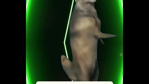 Chill lights cold drinks warm energy you don&rsquo;t get invited &mdash; you get chosen 