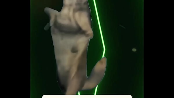 Chill lights cold drinks warm energy you don&rsquo;t get invited &mdash; you get chosen 