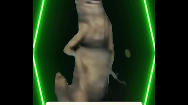 Chill lights cold drinks warm energy you don&rsquo;t get invited &mdash; you get chosen 