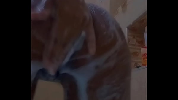 Sexy Caribbean Teen Girl Skyyy876, Naked Shower, Wet Pussy And Ass thumbnail