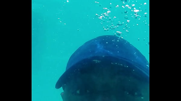 V&iacute_deo de verifica&ccedil_&atilde_o