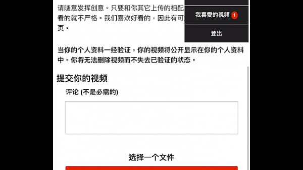 验证视频