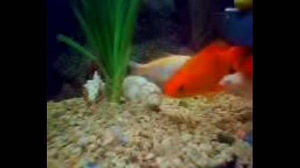 Nonton Mov0119a 0 thumbnail