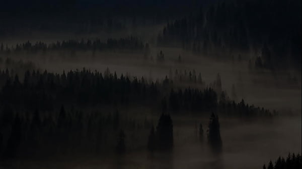 Nonton Morning Wood Crypto Powers All To The Largest Moonshot Known To All Of Mankind thumbnail