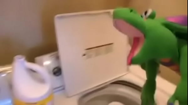 Dragon in the laundry 