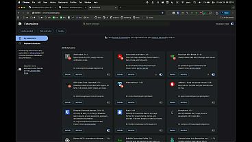 XVideos Video Downloader | How to Download Xvideos Vids for Free 