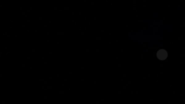 Nonton Bikini-clad Amirah Adara Pool Side Lesbo Sex thumbnail